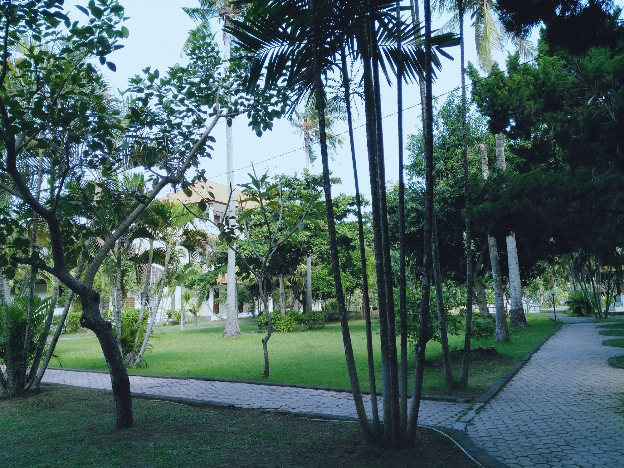 Mekar Jaya Bungalows Kuta Lombok Eksteriør billede