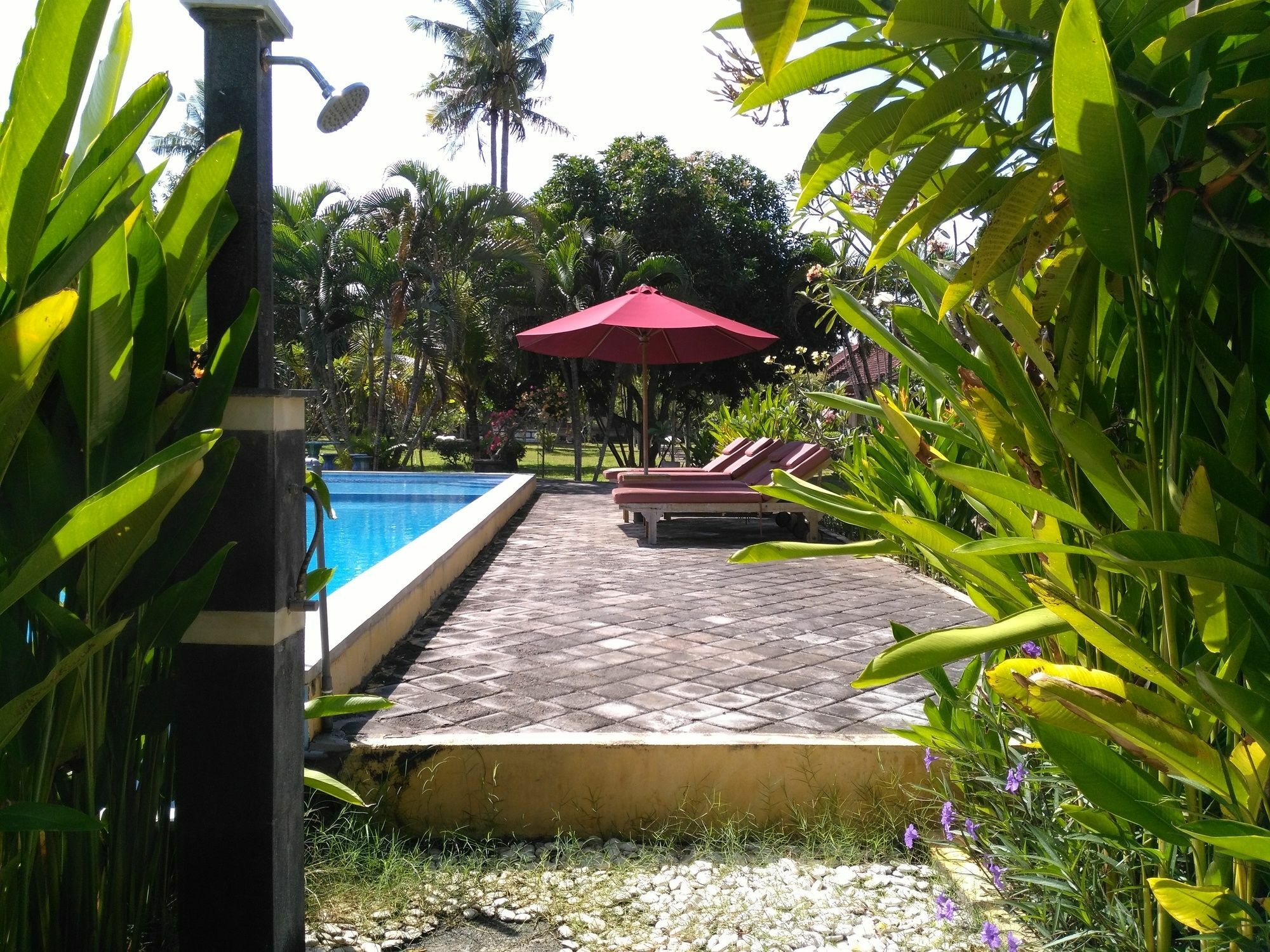Mekar Jaya Bungalows Kuta Lombok Eksteriør billede